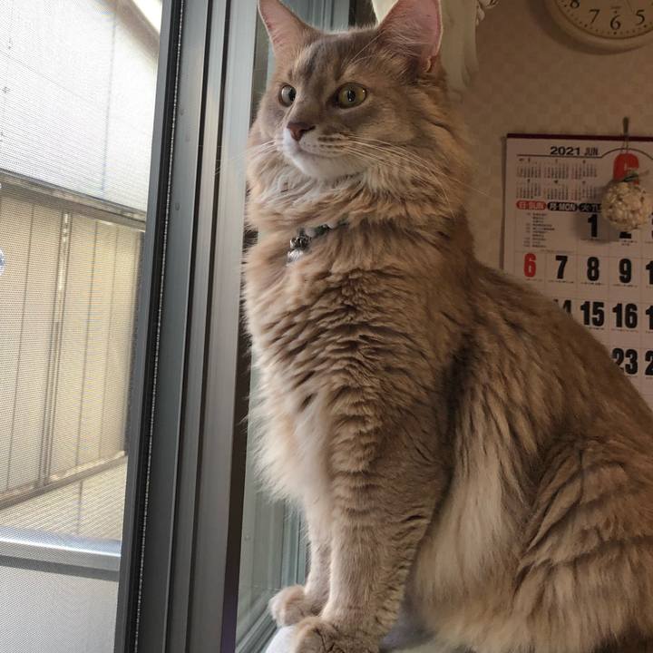 A673e934 ad62 4d32 943e 1aa47bd6d004 1623487502757