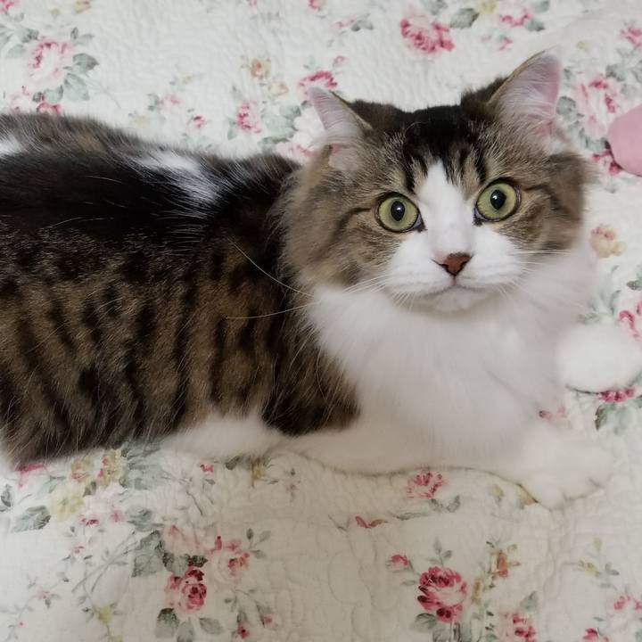 A673ea2e ff36 4c80 a2c5 d0c53740603e 1542114334700