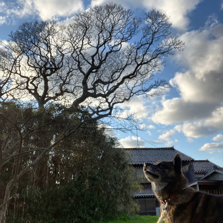 A6740a32 318d 4ea2 a2f9 9bc57857f6d8 1585126469089