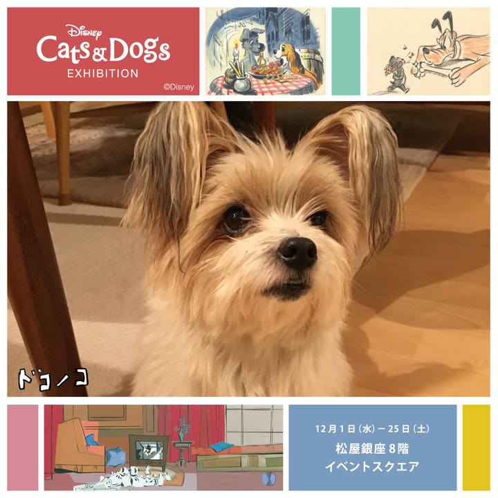 A67431dd 794a 4088 beac ce7a6cdee30e 1638416347936