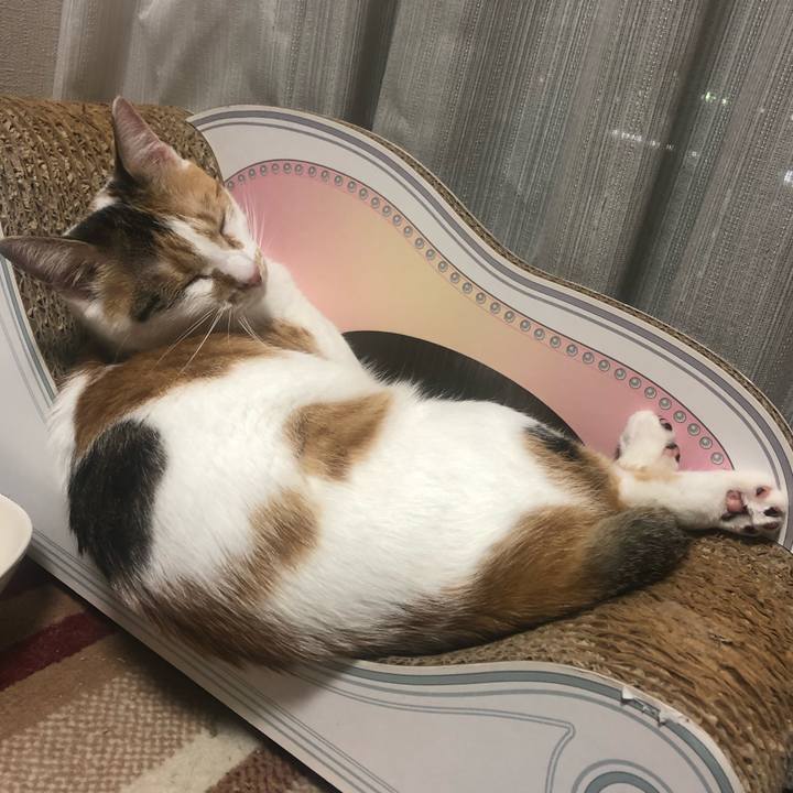 A674356e c7ad 46f4 89f0 187f2b99cdd3 1599831416655