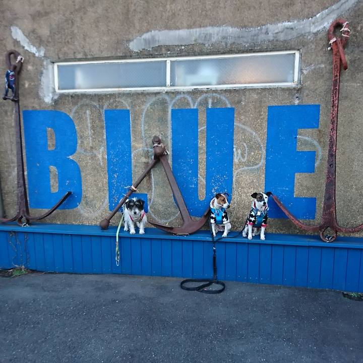 A6743bde fadd 4b76 97b5 6e9500fa0b11 1549100340249