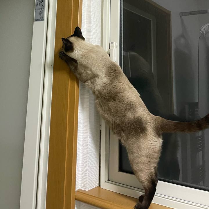 A6745b3a 6aee 4886 a7f9 e9a12a4ff598 1732308962495