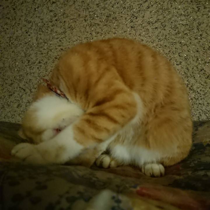 A6745c24 3254 47d9 937d 028df6ea4ed5 1602932086163