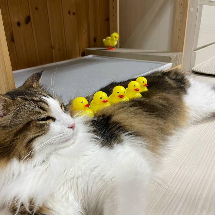 A6749e9d 80c5 4ce5 adac 479ab3421af2 1654085824017