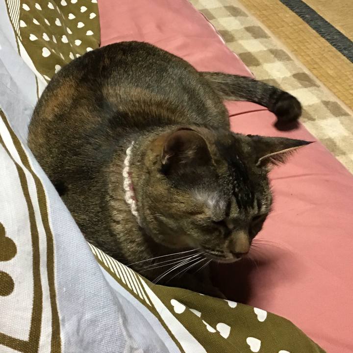 A674f13d d467 4b87 95b6 0063a224229e 1674387439922