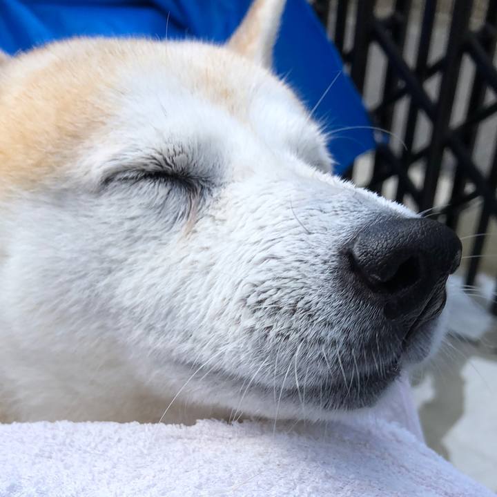 A674f407 0d86 413c b64d 36509a51e3b4 1538970386003