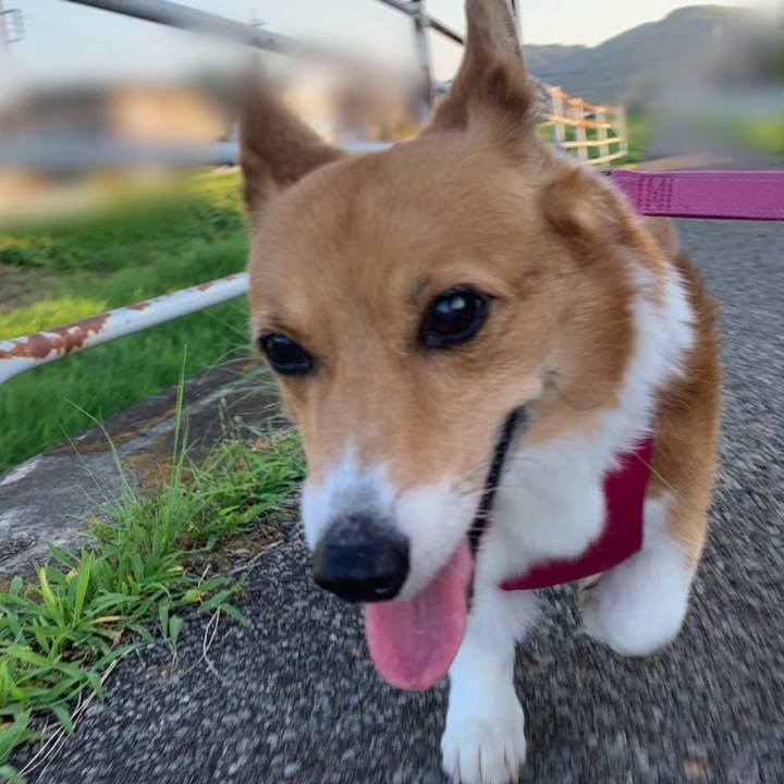 A674fb08 232d 4437 be28 67d9773e53f3 1690319245149