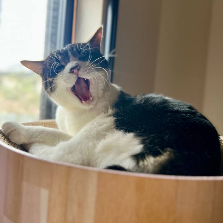 A6751d1f 74c3 4883 af48 bb23cc51372b 1764332617436