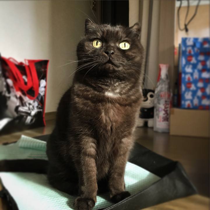 A6756adc 7421 43d0 bcae 11c2ec7fa8f6 1514026003013