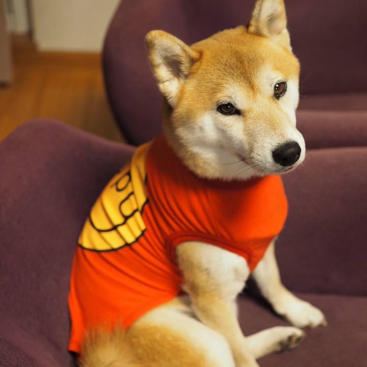 A675770a cb35 433c b65c 596d3b2c1491 1509444384928