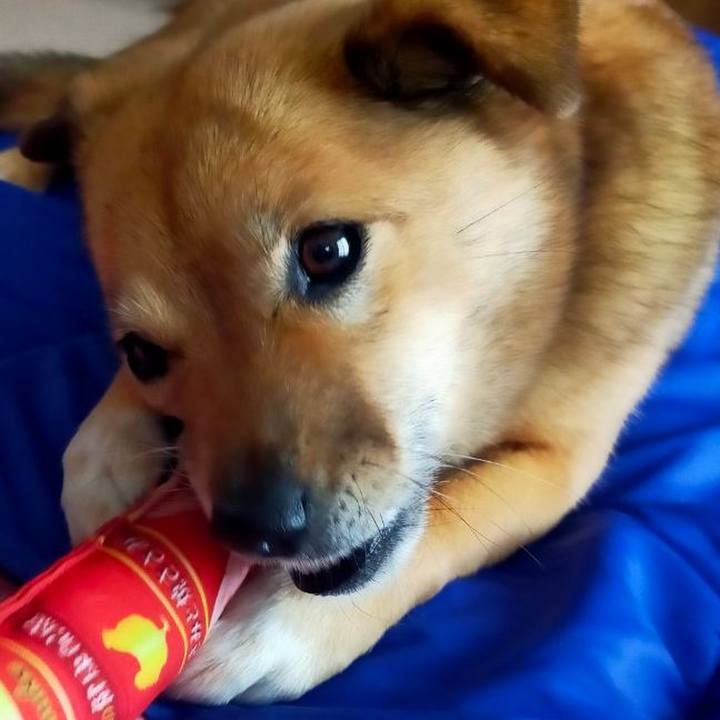 A675a487 e62c 4a43 979d dfb1caa3f818 1643464480037