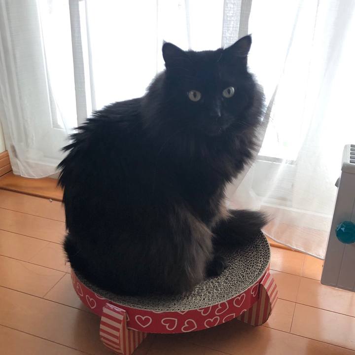 A675fec0 b7d4 4f4a b393 a9131a3b4b74 1548840000227