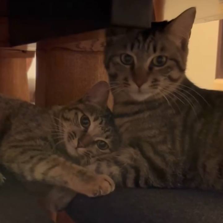 A6762f1e bedf 4f84 a045 590dbd9f16a4 1754540564106