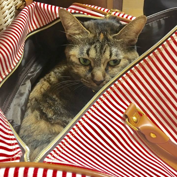 A67646a7 d1fe 4543 bee5 cb21c23408d1 1536055668561