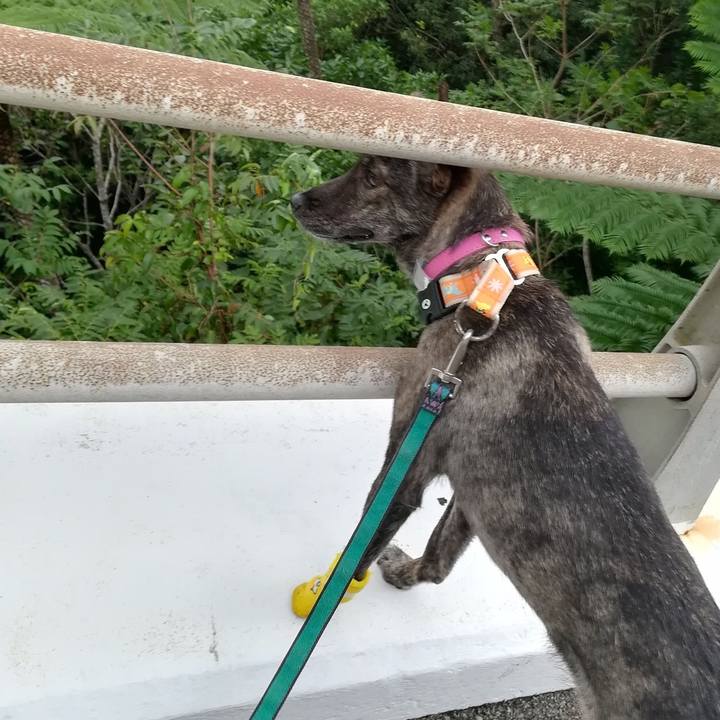 A6765c1e 7312 4651 8769 9d7063e9d7b9 1544577498770