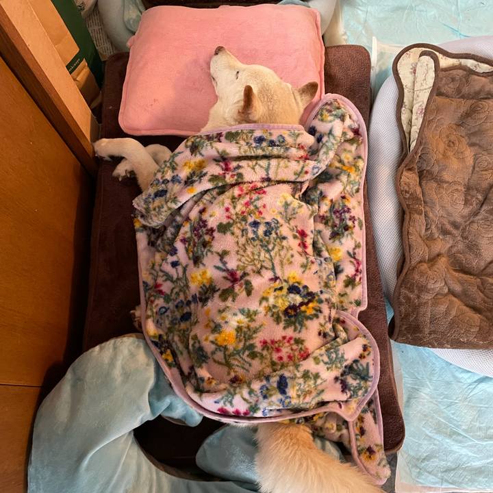 A6766633 a621 4fd6 9c90 7867726a4a17 1638334815858