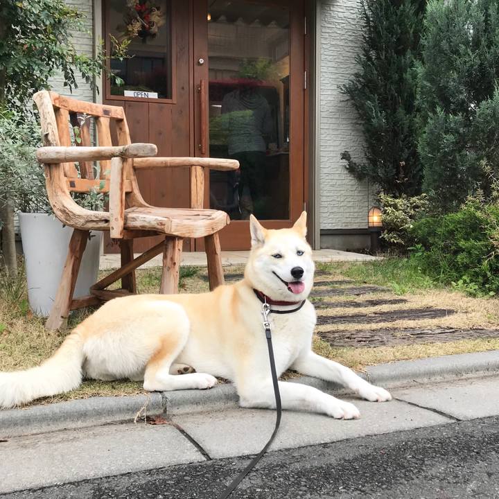 A67687a4 ee95 467f b58c 27cd1c14aa81 1523765223545