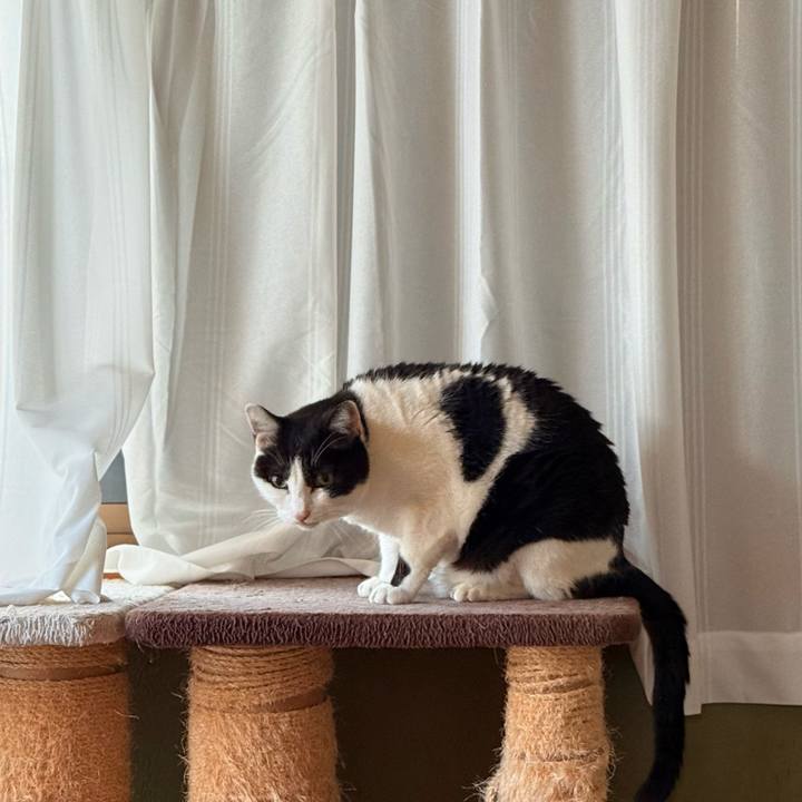 A676967c 1cf6 46dd acdd 342b35b86487 1736995063853