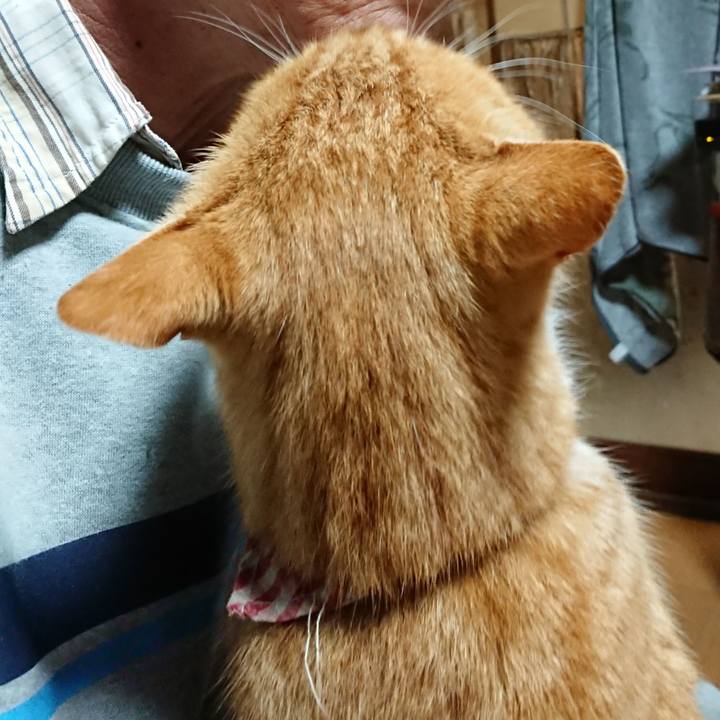 A67699bc 1343 486e 9d55 33b4df5c63b9 1606420724615