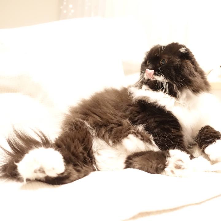 A6769f6c 4290 4ba7 95ac d9a3eb0c7e4b 1511366010863