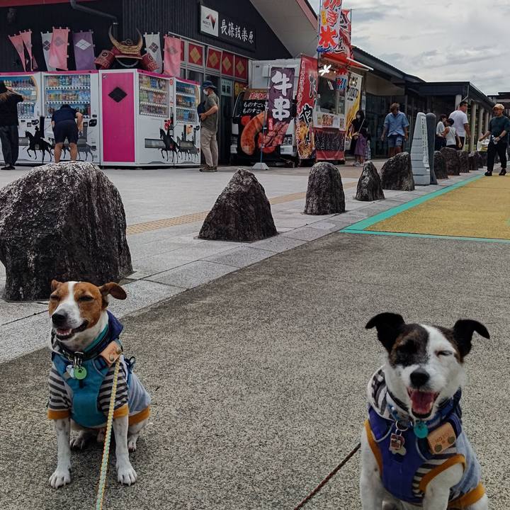 A677240e 93a2 4668 8451 73081dfaa60c 1691989507217