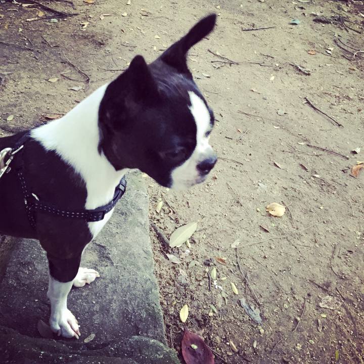 A6773add d117 4116 bd66 37a8474d24ca 1510453978316