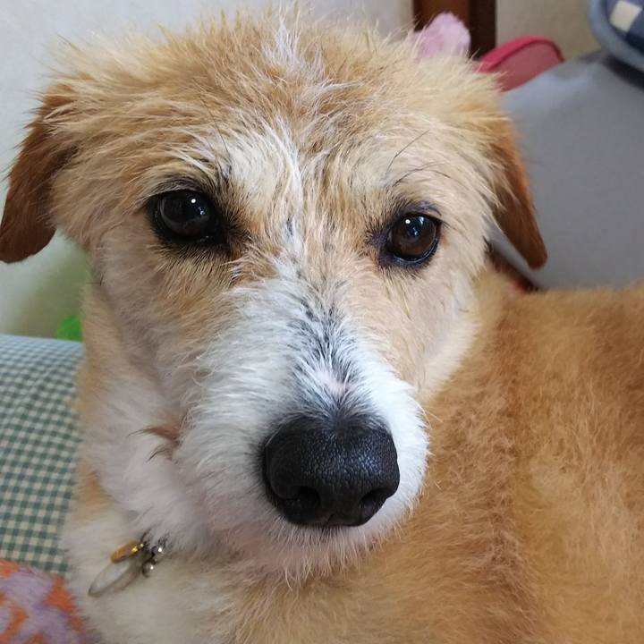 A67768d6 b2ce 4fef 95c2 f1a0668cd031 1527736870441