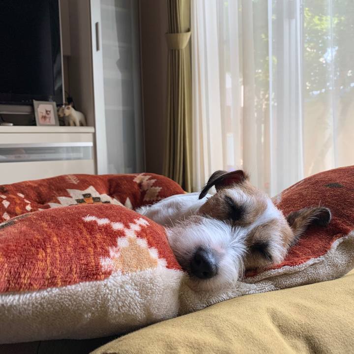 A6777caf b455 4611 81c6 0f43daaca11c 1596607136372