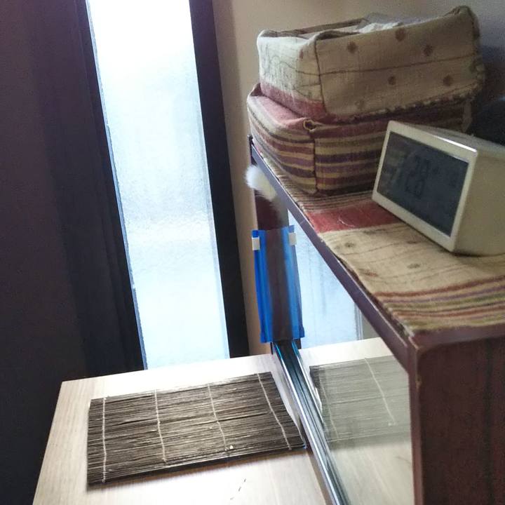 A677925a d786 4324 8812 444b8056644a 1638060423756