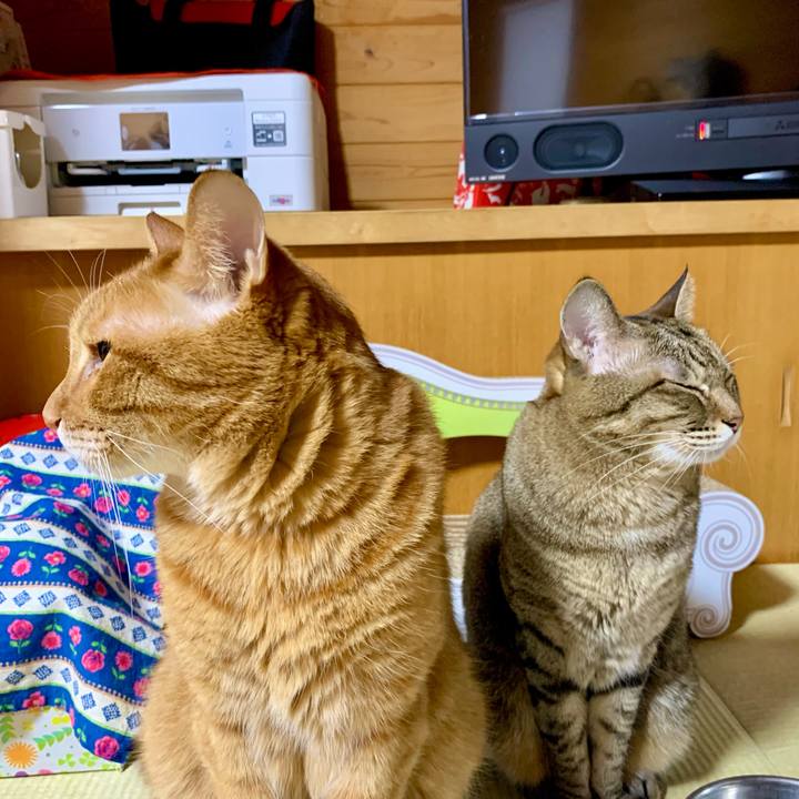 A677b6e4 5af9 4a4f 83f7 a2d068bb12b2 1602940489991