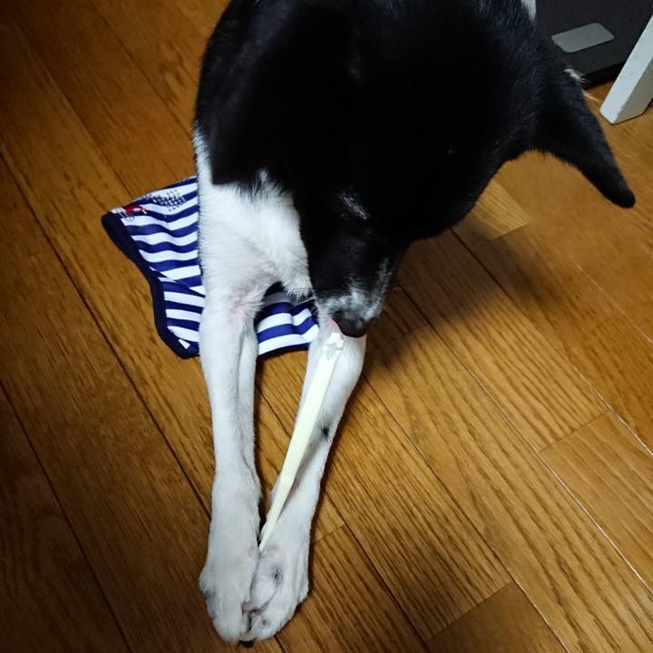 A677dbc8 0900 40ea b96c 1dec460185d9 1515238883471