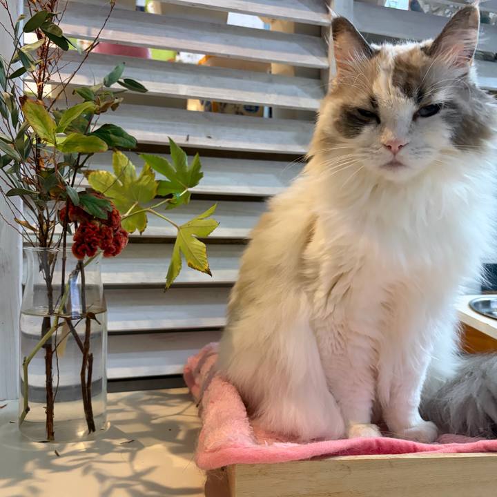 A678488a dc17 4bf3 8915 2dd82f81e9cc 1762956214199