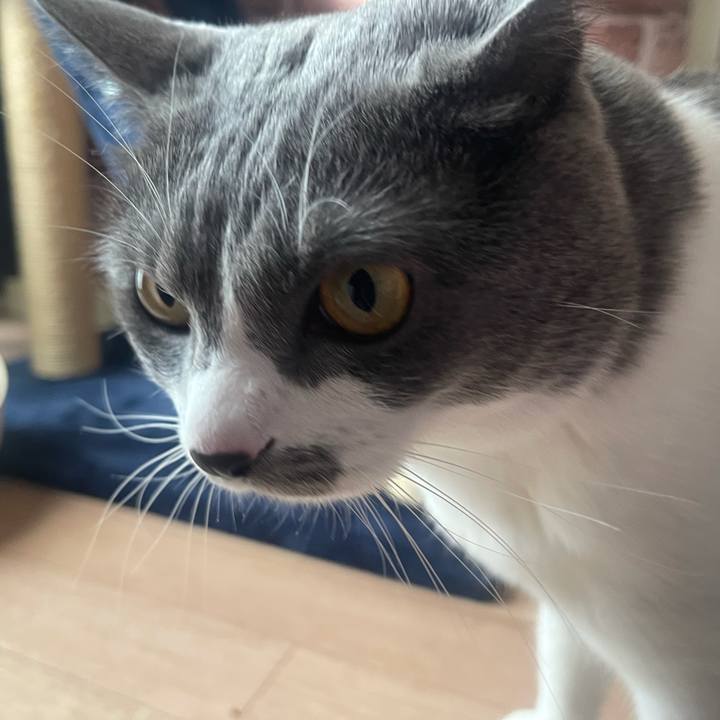 A6786bdd a435 484d 9458 72350a92de8a 1645572551215