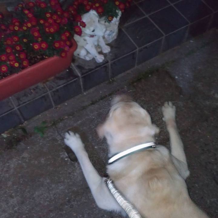 A678a8ee b382 4a73 ac45 a54c6a787827 1522854635285