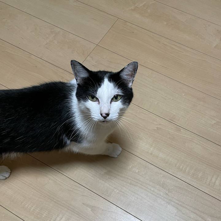 A678d452 ec5d 48e6 99cb 30878d38c264 1660987638805