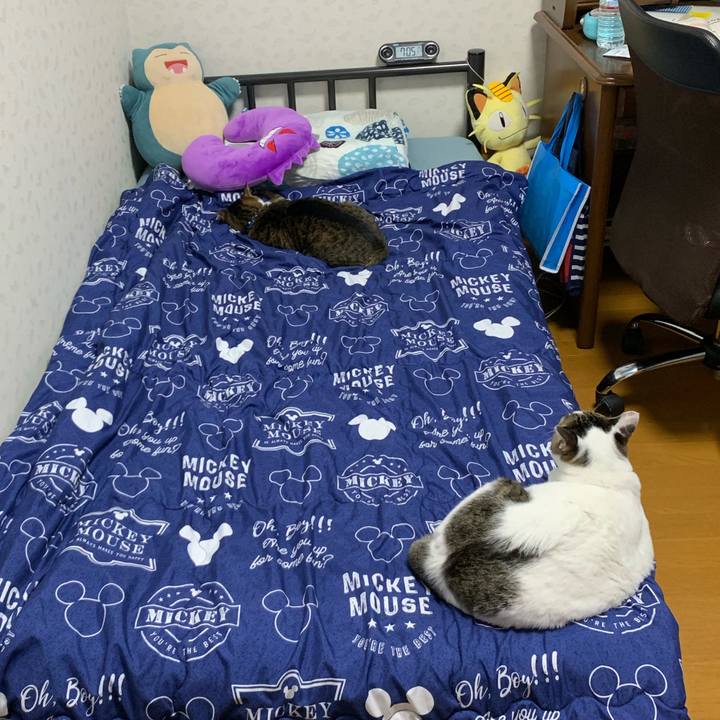 A6790844 f473 4802 8b10 31230289f470 1566641177858