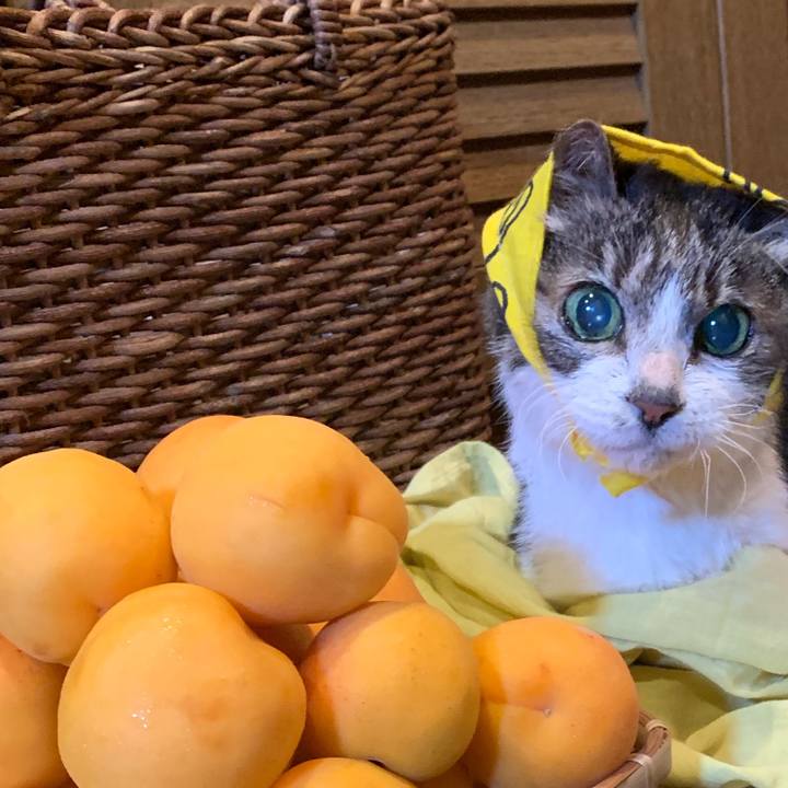 A6793bc6 f202 4136 8a30 921fd8577358 1719784845962