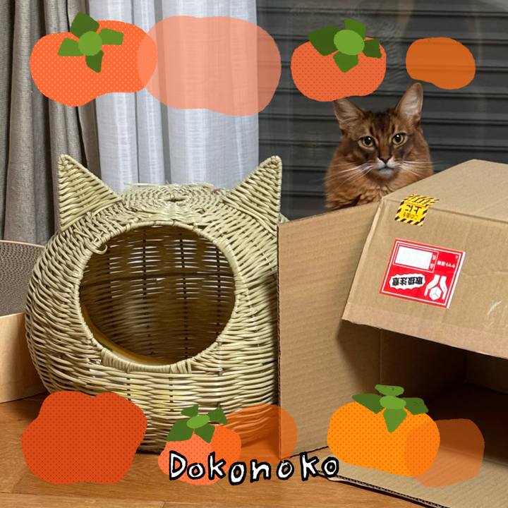 A67958eb 44c8 47d9 a1ee 6ecf754fa53b 1762508071151