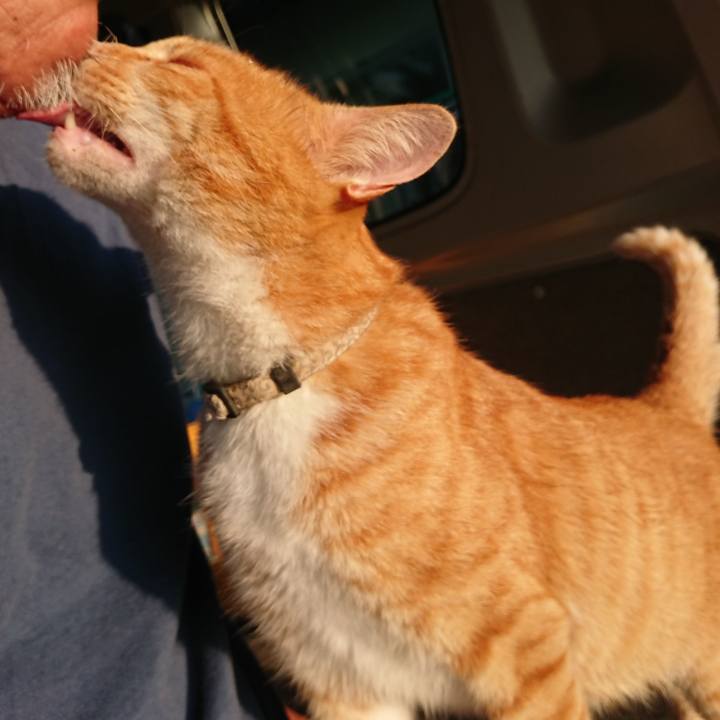 A6796224 4c3d 4b8c 9aef 195154fdf0ad 1597354393021