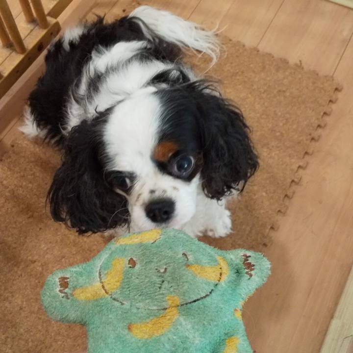 A67977e0 2970 45ec b73c 25cf0e3cef5f 1566708012685