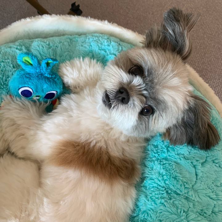 A6797967 d8d8 48d1 8695 ef0cb9103737 1633765202179