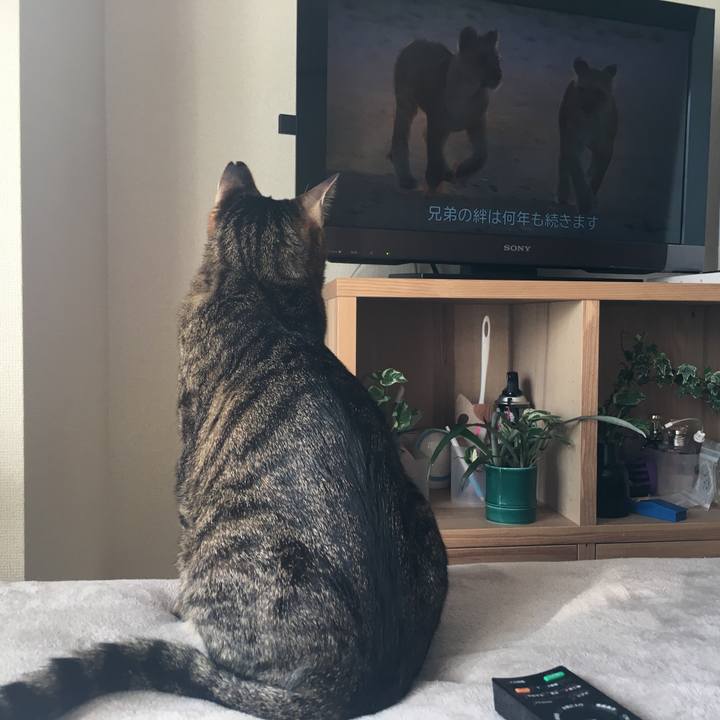 A67a9f5e 11d1 4204 ab25 e7b7d61ace4c 1582362323827