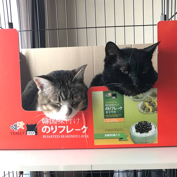 A67aa21e 4c5a 48a0 b1a7 7bba3363d801 1518912605254