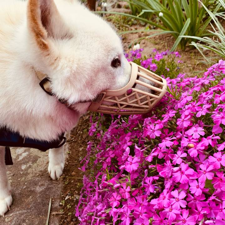 A67aebec 4062 4a3b b0fd c7e4992e1fba 1623189514082