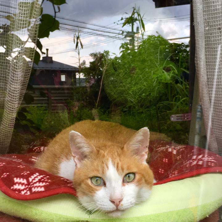 A67b61fa dfd1 4760 99ab 108067baa225 1566703032466