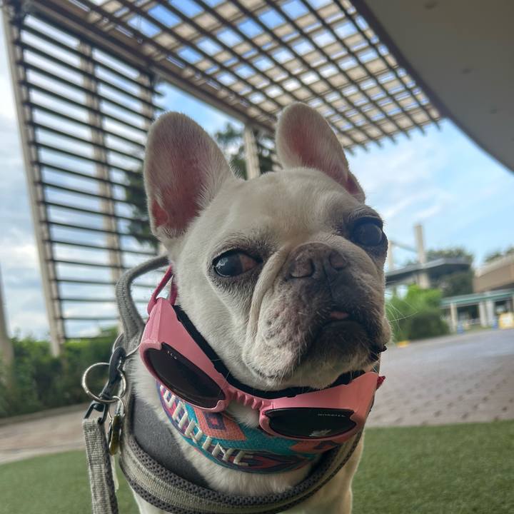 A67b673e f7c3 4e1f 86de bb8a5cd7e398 1759023175485