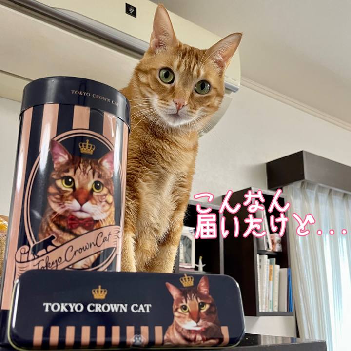 A67b921f 01c3 4a60 8476 e6a44178aac9 1644445966198