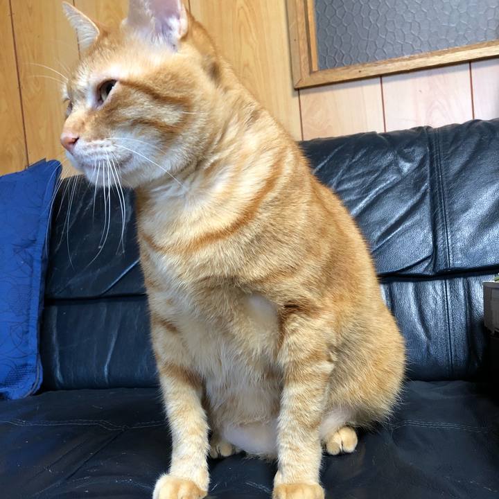 A67bb622 9f69 4329 a401 c84cb0cd83d9 1570314657900