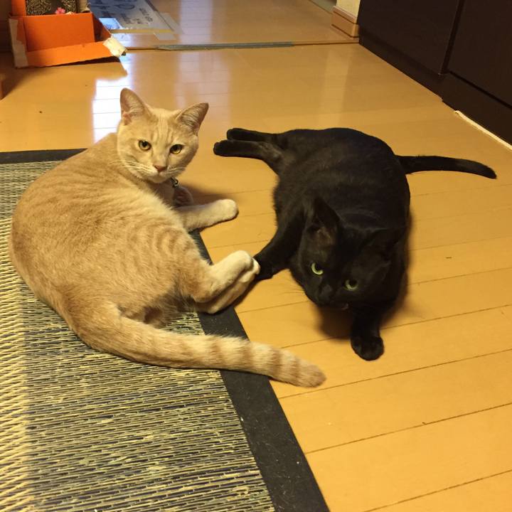 A67bc262 bdb1 4402 b628 92f69ff13bfd 1562578010703